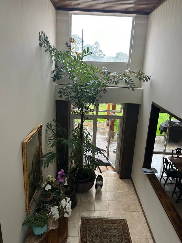 Casa en renta San Jorge Muxbal