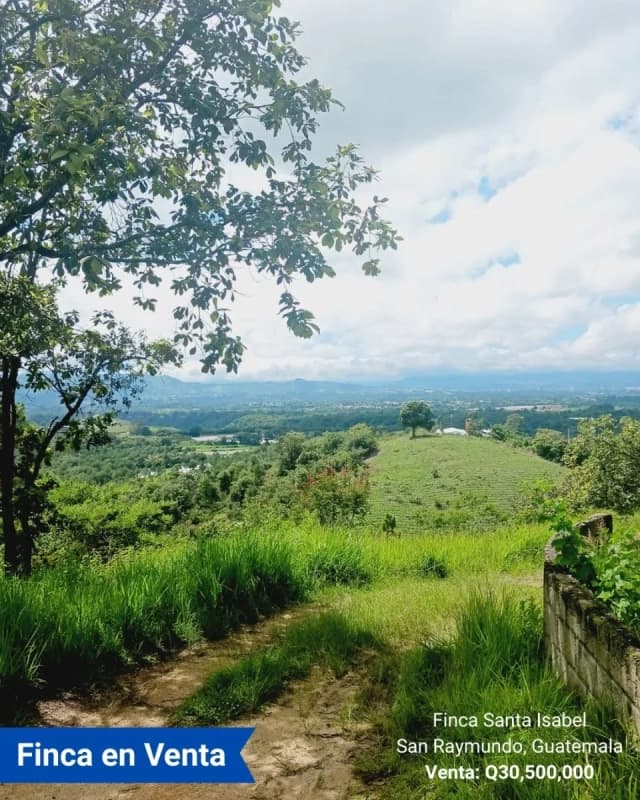 Finca en Venta de 300 Manzanas en San Raymundo