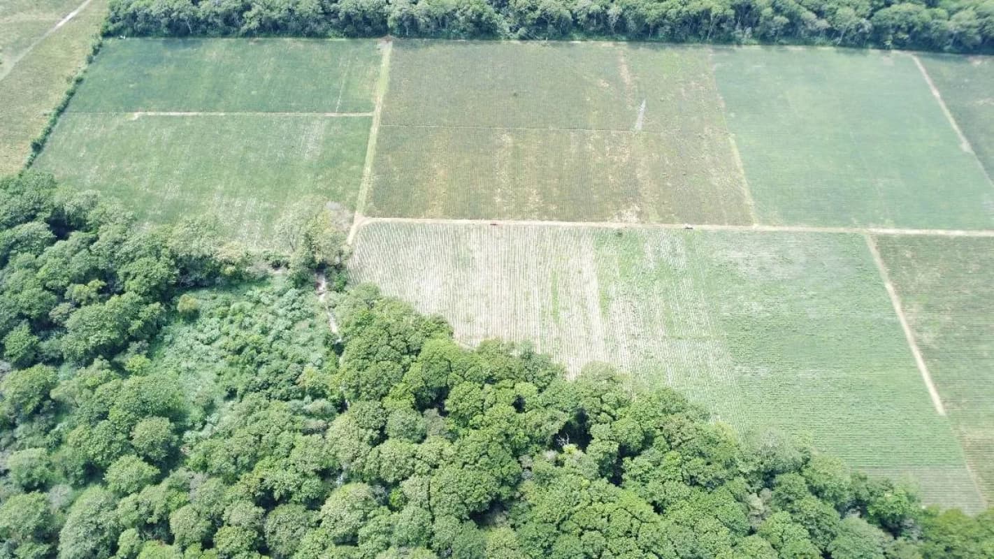 FINCA DE 17 MZ EN VENTA CERCA DE CARRETERA A EL SALVADOR
