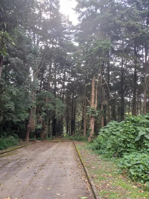 Terrenos en Casa y Campo, Km 23 Carretera a El Salvador