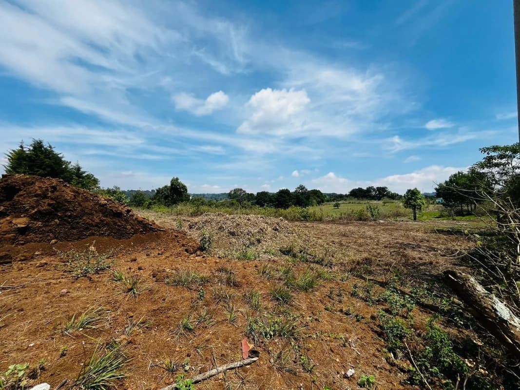 ALQUILO TERRENO EN LO DE DIÉGUEZ 10,000 Varas Semi Planas