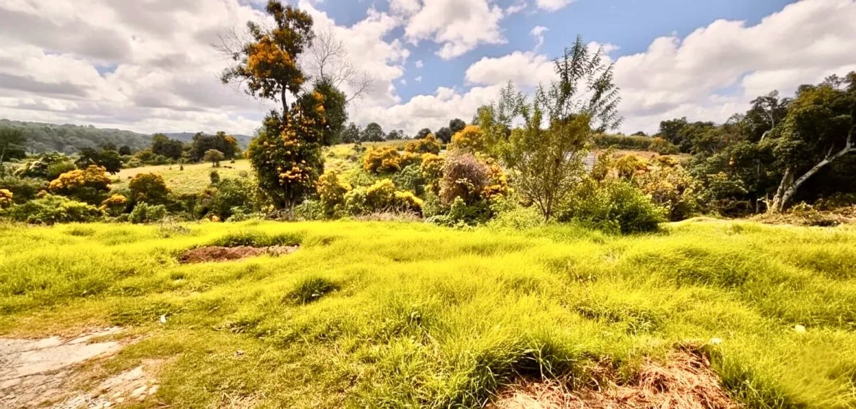 Santiago Sacatepéquez • Terreno en Venta • Granjas Villa Alicia