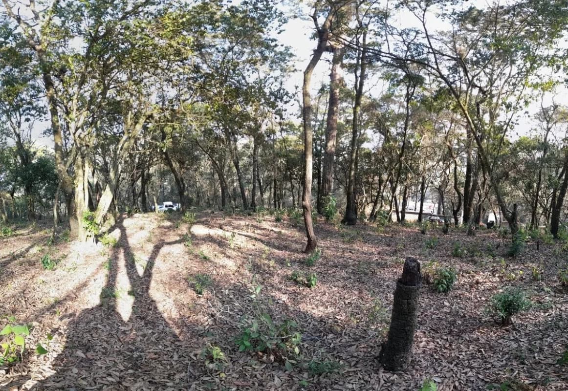 Vendo Terreno en El Encinal