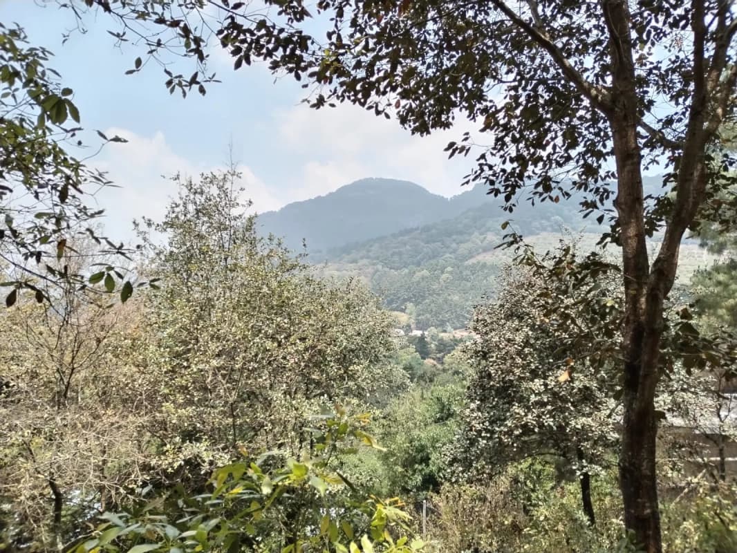 TERRENO EN VENTA EN SANTA LUCIA MILPAS ALTAS