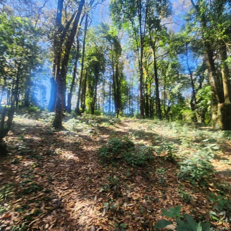 VENDO TERRENO RESIDENCIAL EN BOSQUE VIVO MIXCO