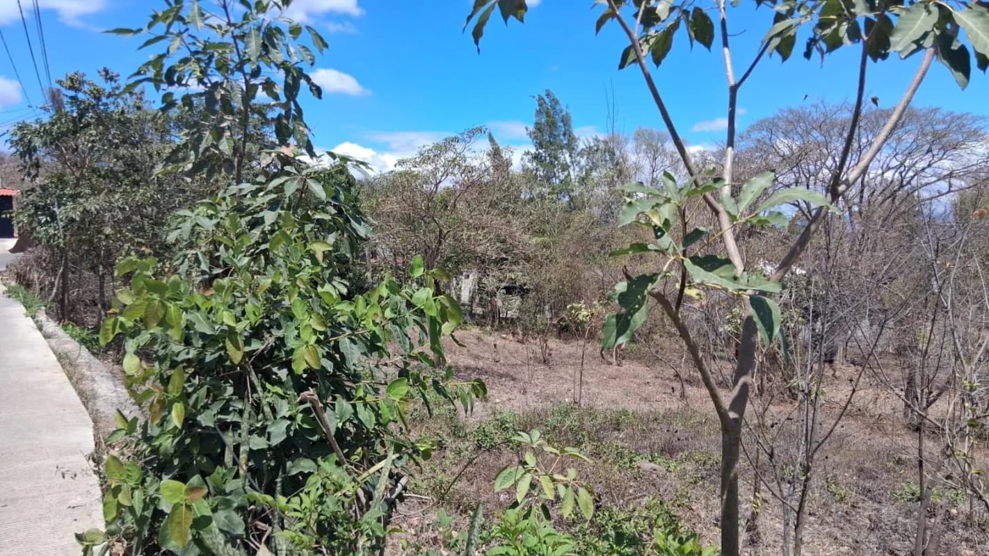 Terreno de 1,510 metros en San Antonio La Paz, El Progreso Q550,000