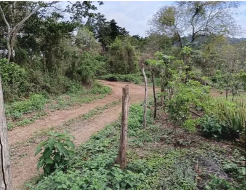 VENTA DE TERRENO RESIDENCIAL - HACIENDA REAL, ZONA 16