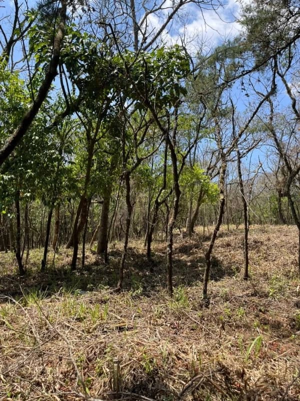 Casa y Campo/ terreno en venta/ 2411v2