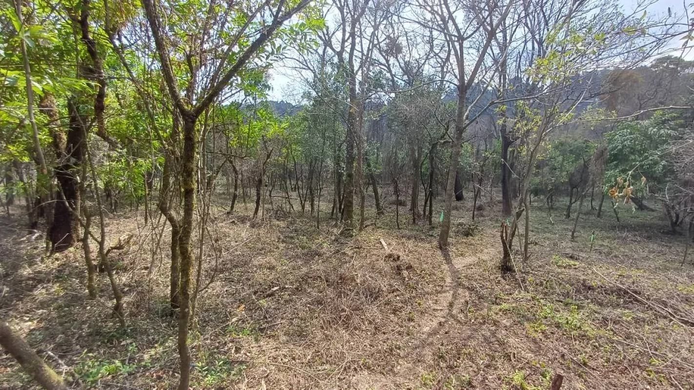 Terrenos en Venta en Casa y Campo km 23.5 CES