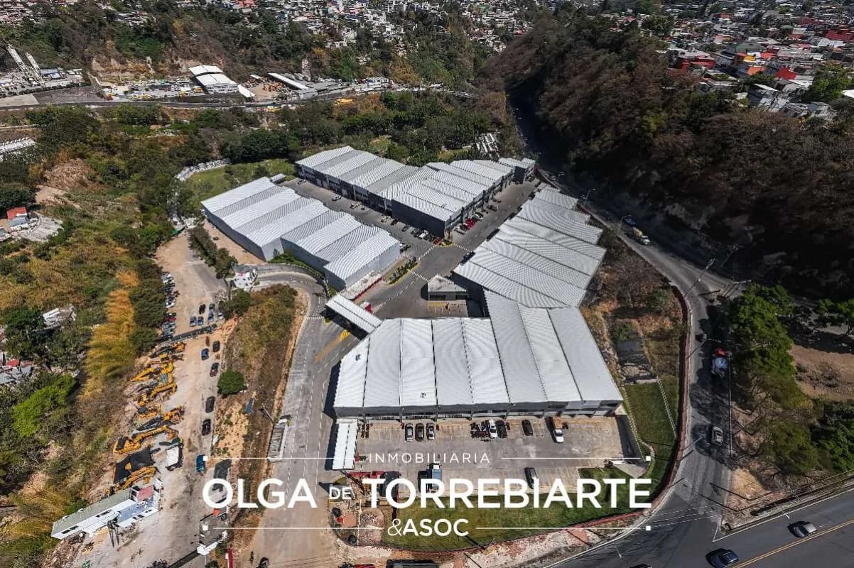 Ofibodega Bouganvilias, Zona 5