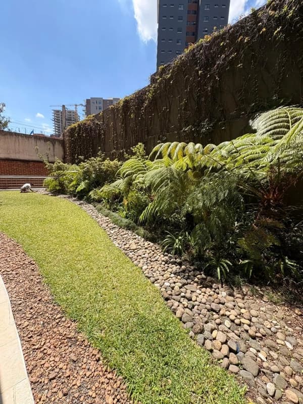 Alquiler o venta de apartamento en Edificio Plenum zona 14