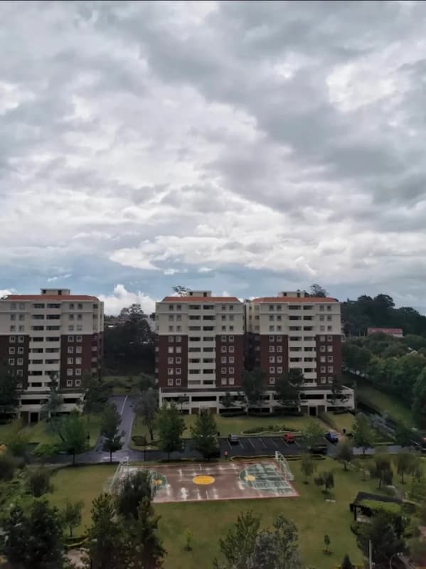 Apartamento en renta zona 16