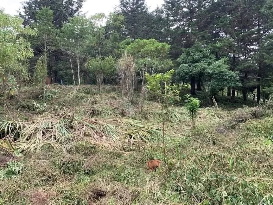 Terreno en venta – Km. 16 Carretera a El Salvador