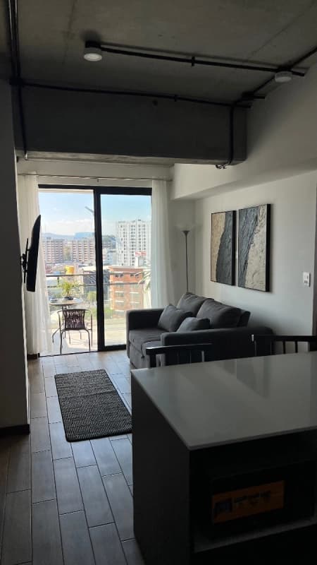 Apartamento amueblado en renta INARA Zona 4 (D)