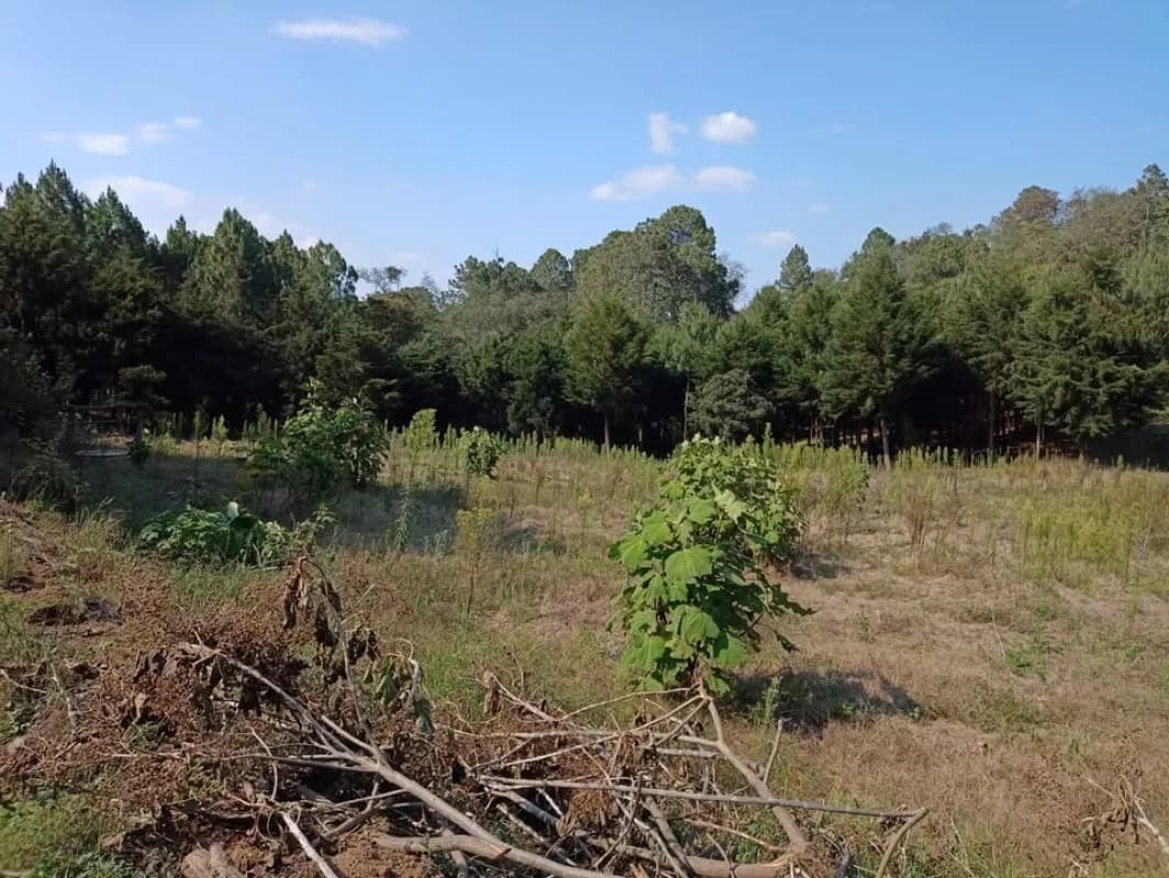 Terreno en Santa María Cauqué, Santiago Sacatepéquez