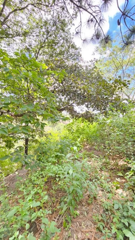 Terreno en venta en Huehuetenango salida a carretera