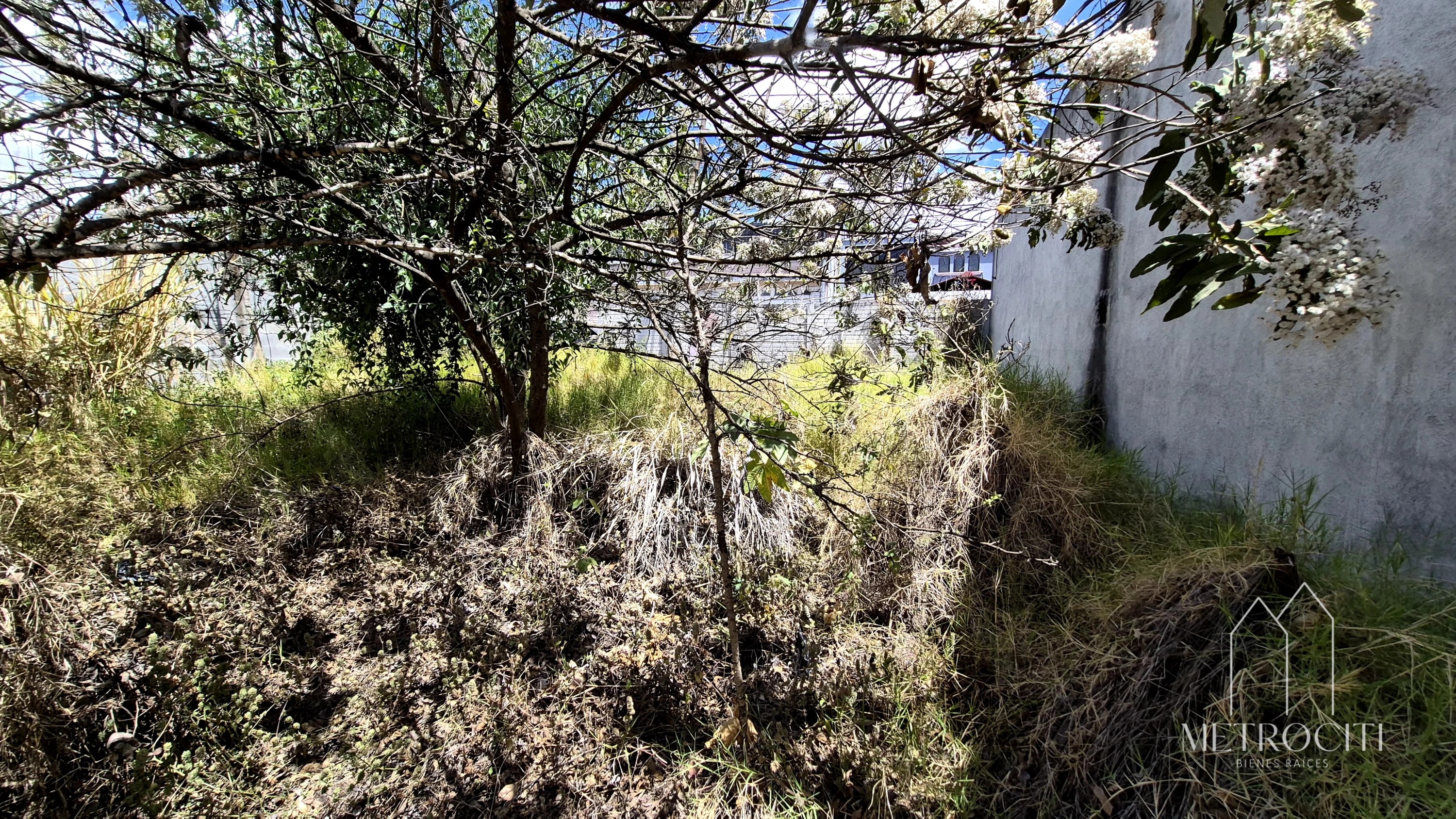 Se vende terreno plano en zona 2 de Mxco cercano a Clazada Roosevelt — Terreno en Venta en Zona 2 Mixco, Guatemala, Ciudad — foto 2 de 5
