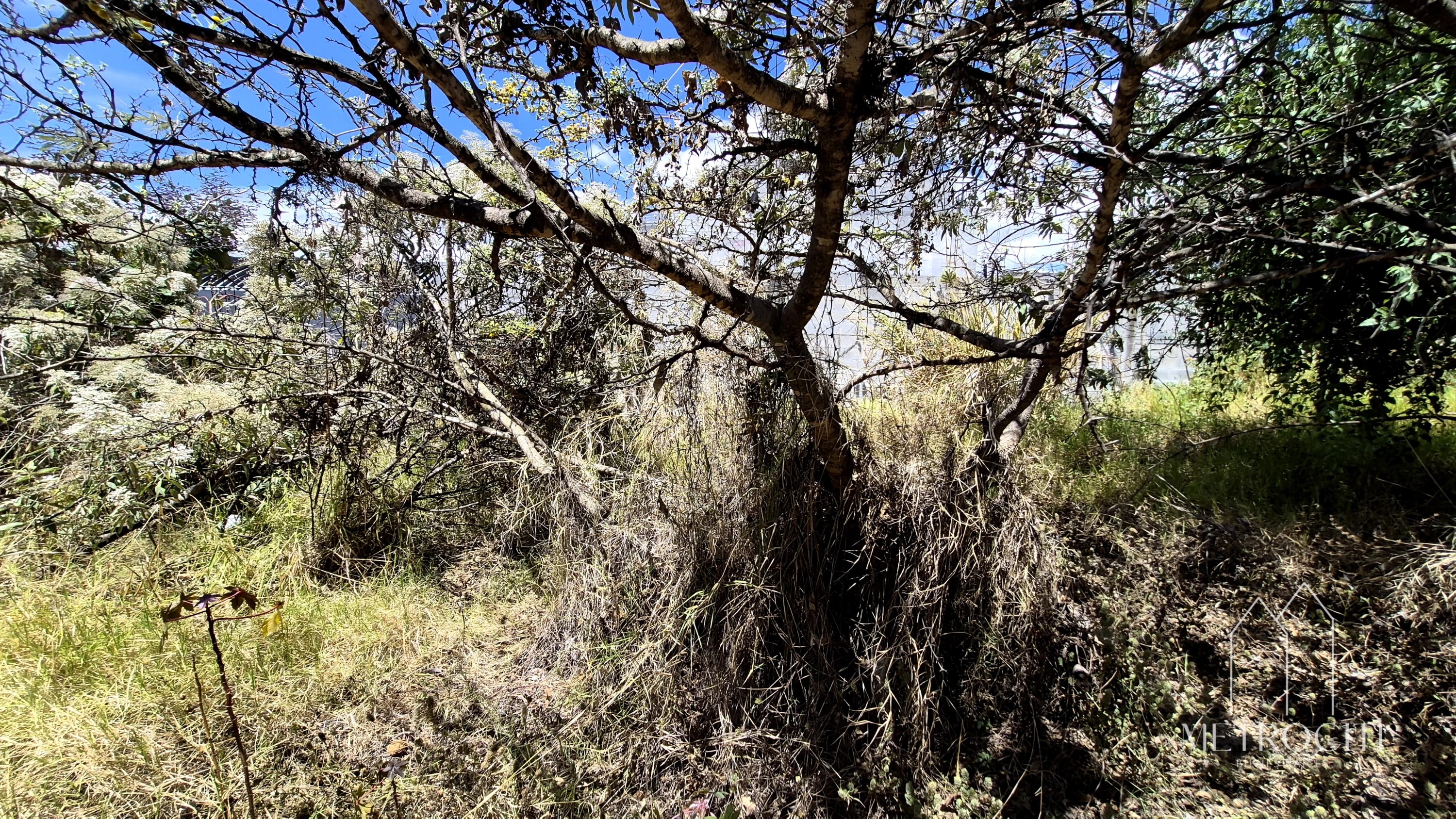 Se vende terreno plano en zona 2 de Mxco cercano a Clazada Roosevelt — Terreno en Venta en Zona 2 Mixco, Guatemala, Ciudad — foto 3 de 5