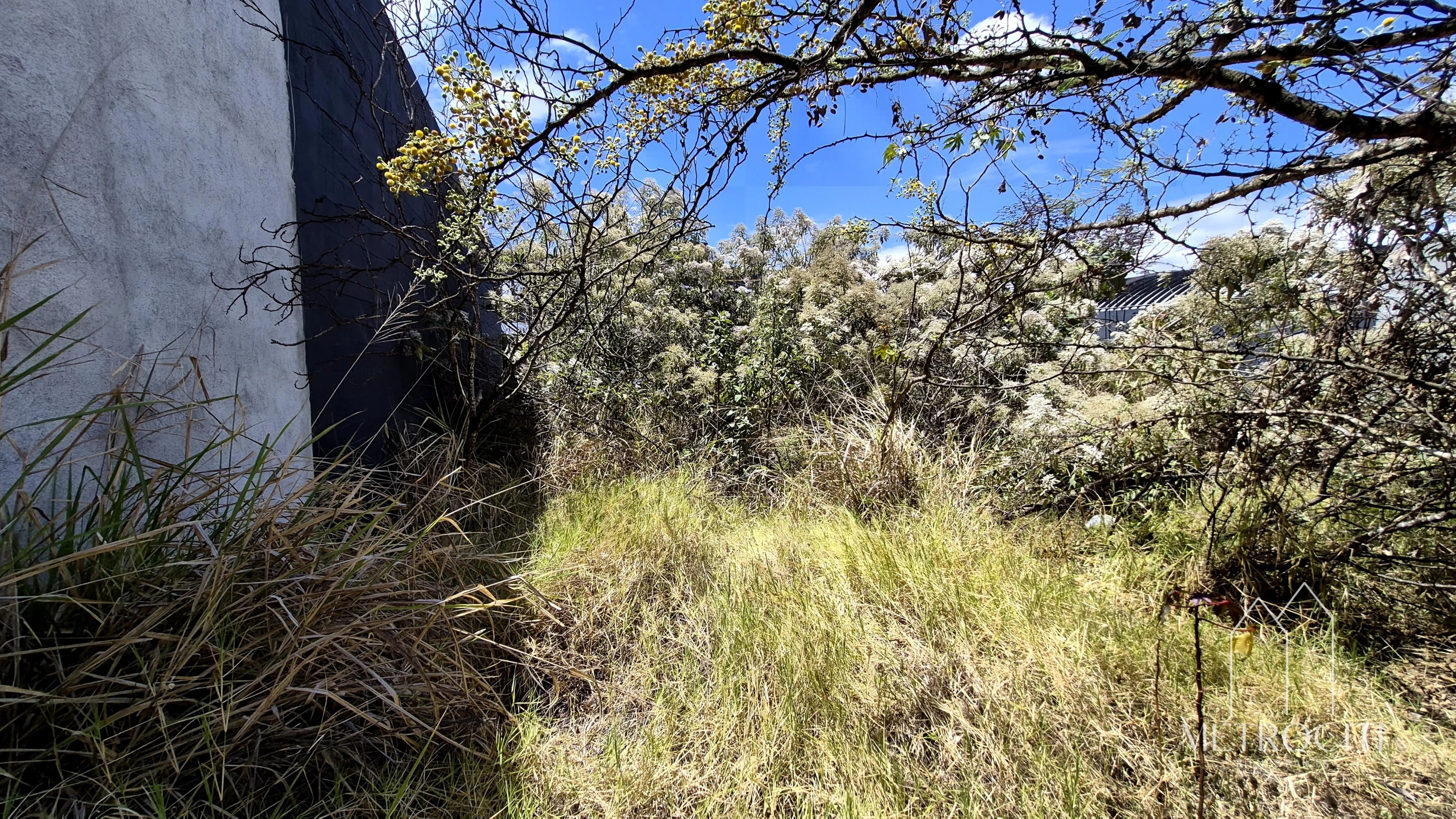 Se vende terreno plano en zona 2 de Mxco cercano a Clazada Roosevelt — Terreno en Venta en Zona 2 Mixco, Guatemala, Ciudad — foto 4 de 5