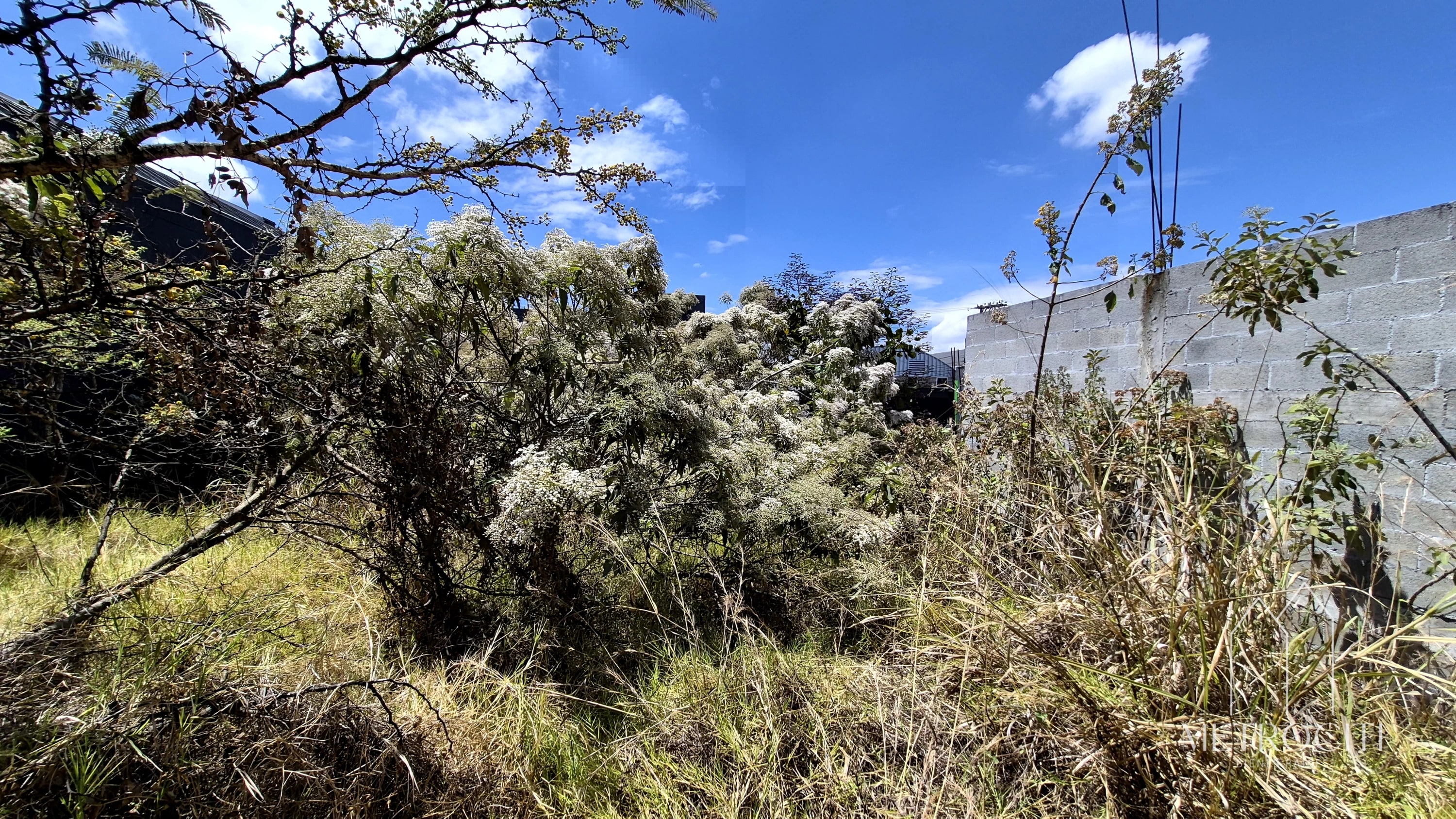 Se vende terreno plano en zona 2 de Mxco cercano a Clazada Roosevelt — Terreno en Venta en Zona 2 Mixco, Guatemala, Ciudad — foto 5 de 5