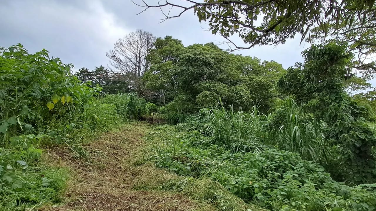 Vendo Terrenos en Casa y Campo KM 23.5 Carretera a el Salvador — Terreno en Venta en Carretera al Atlántico, Guatemala, Ciudad — foto 3 de 7