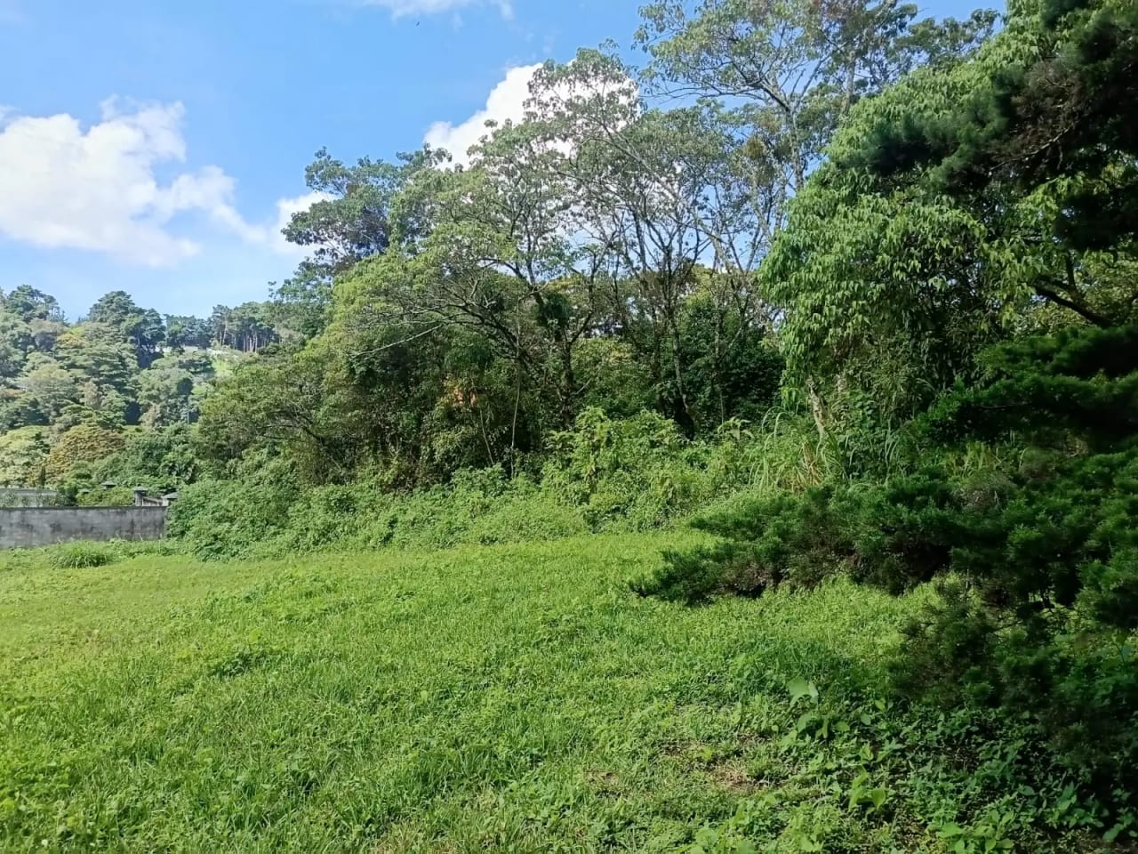 Vendo Terrenos en Casa y Campo KM 23.5 Carretera a el Salvador — Terreno en Venta en Carretera al Atlántico, Guatemala, Ciudad — foto 1 de 7