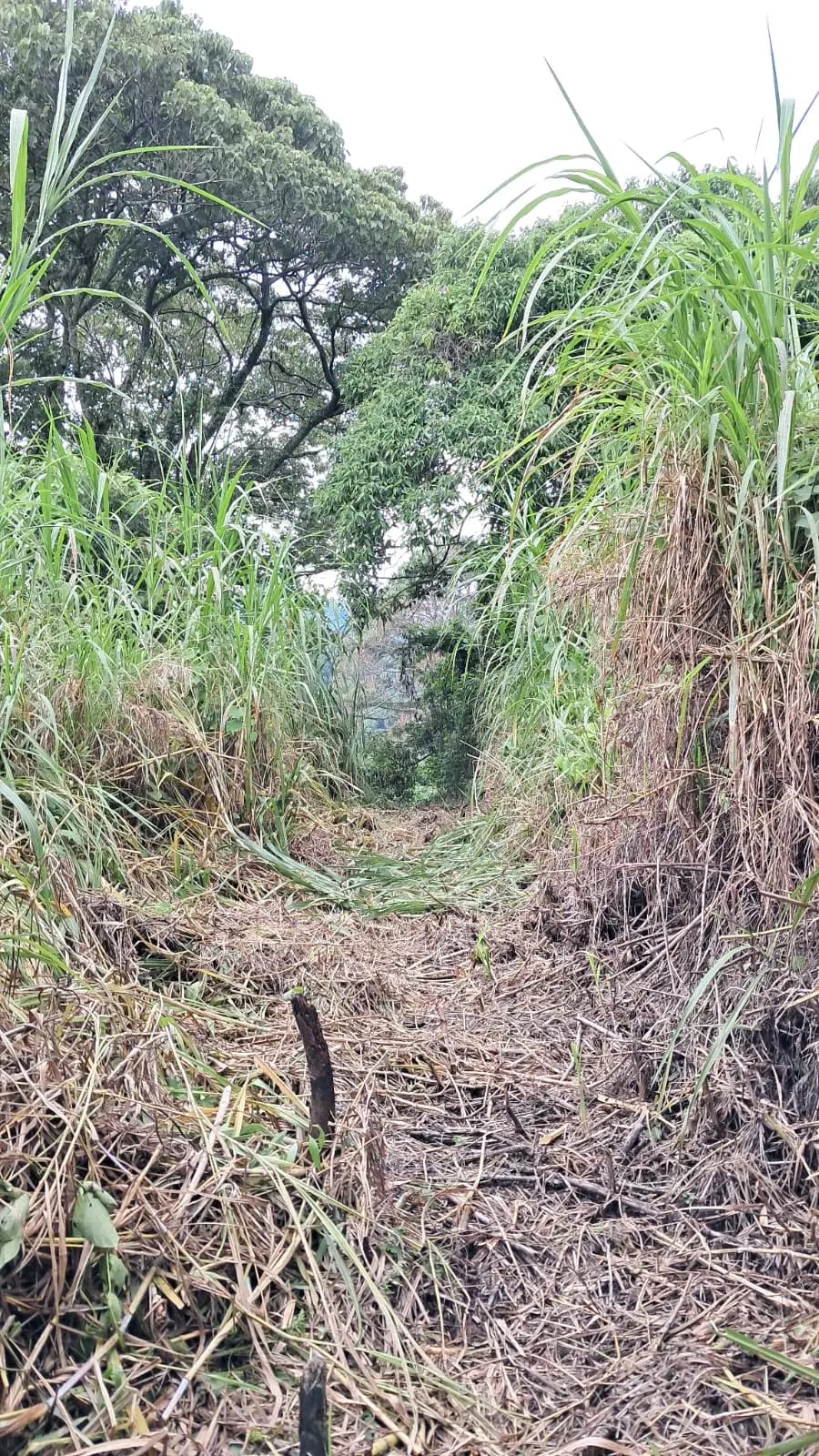 Vendo Terrenos en Casa y Campo KM 23.5 Carretera a el Salvador — Terreno en Venta en Carretera al Atlántico, Guatemala, Ciudad — foto 5 de 7