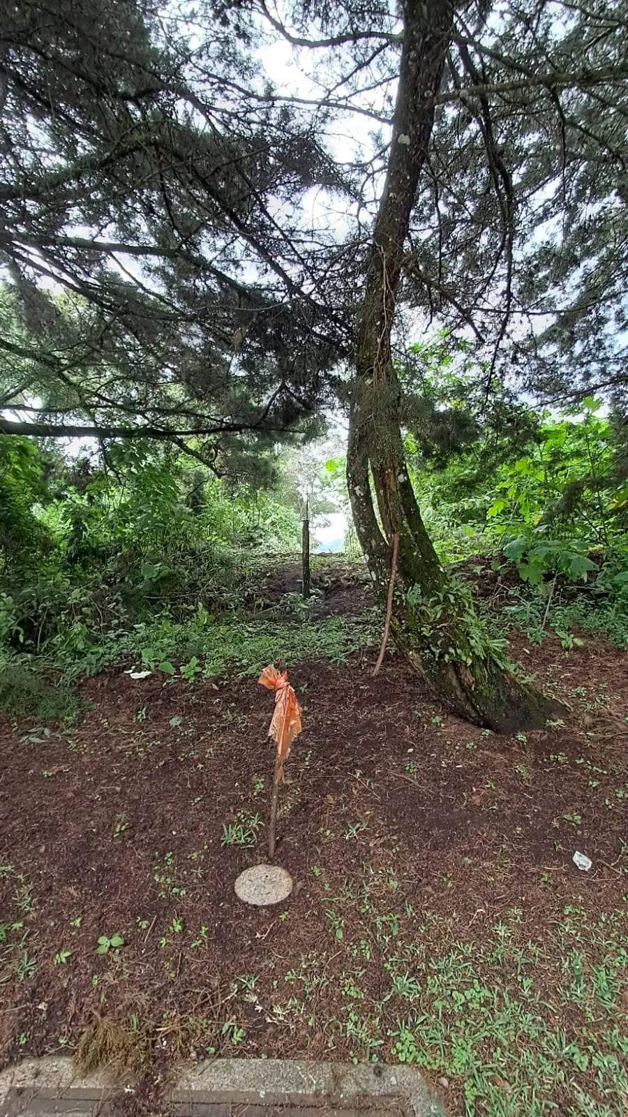 Vendo Terrenos en Casa y Campo KM 23.5 Carretera a el Salvador — Terreno en Venta en Carretera al Atlántico, Guatemala, Ciudad — foto 7 de 7