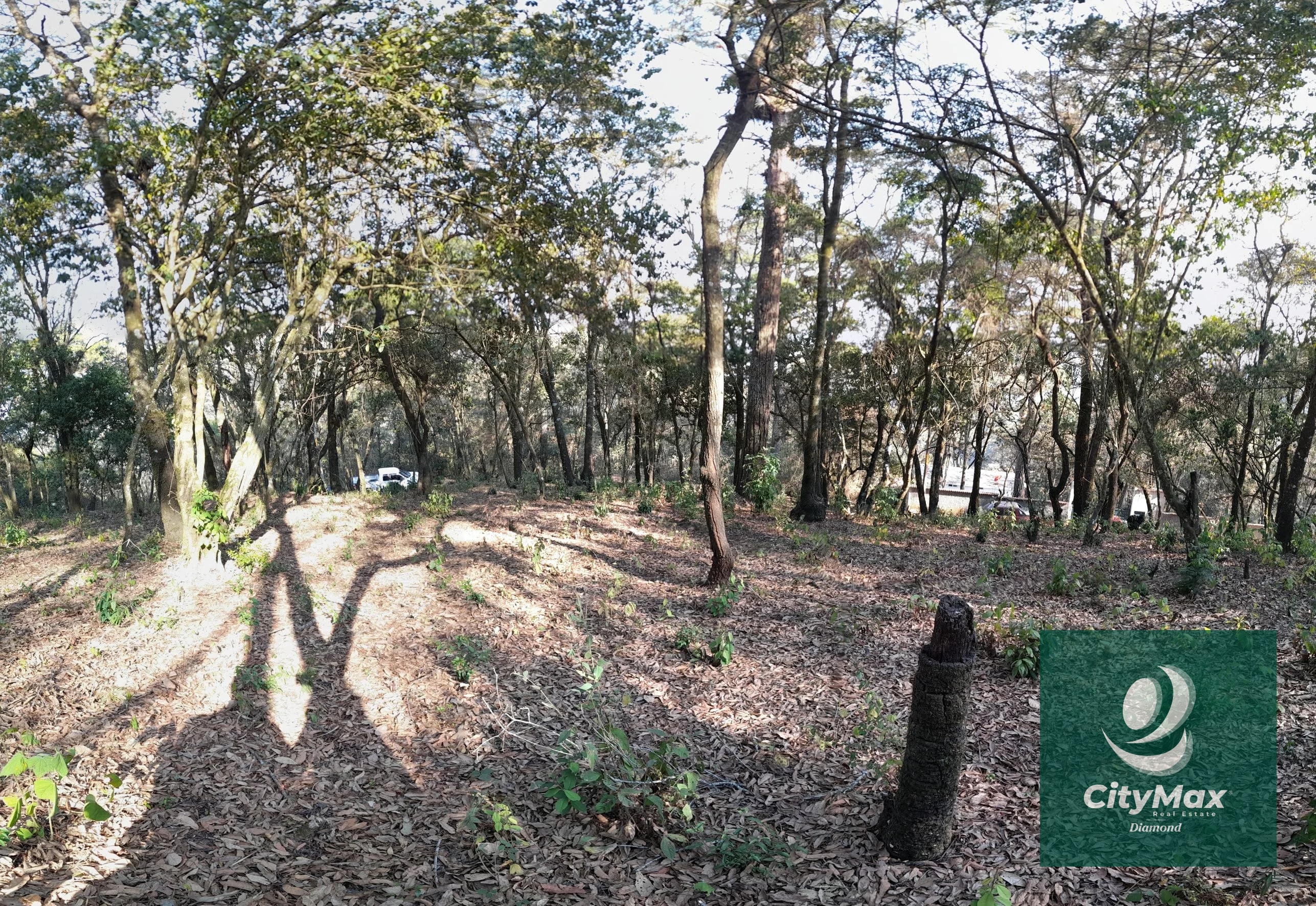 TERRENO EN VENTA EN EL ENCINAL - 6