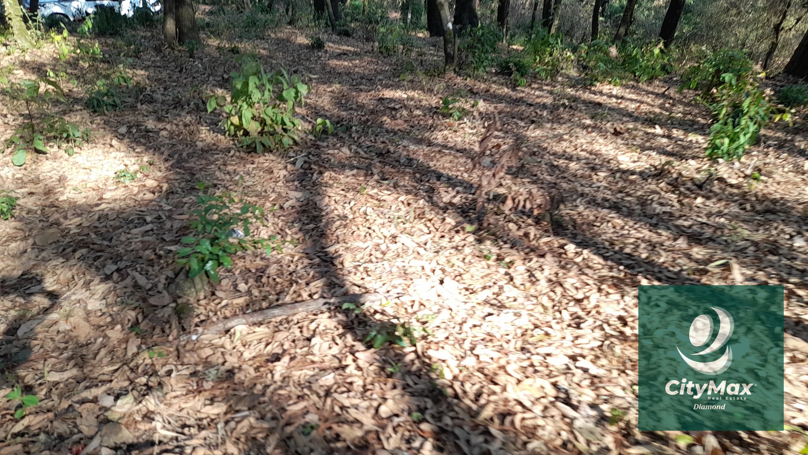 TERRENO EN VENTA EN EL ENCINAL - 5