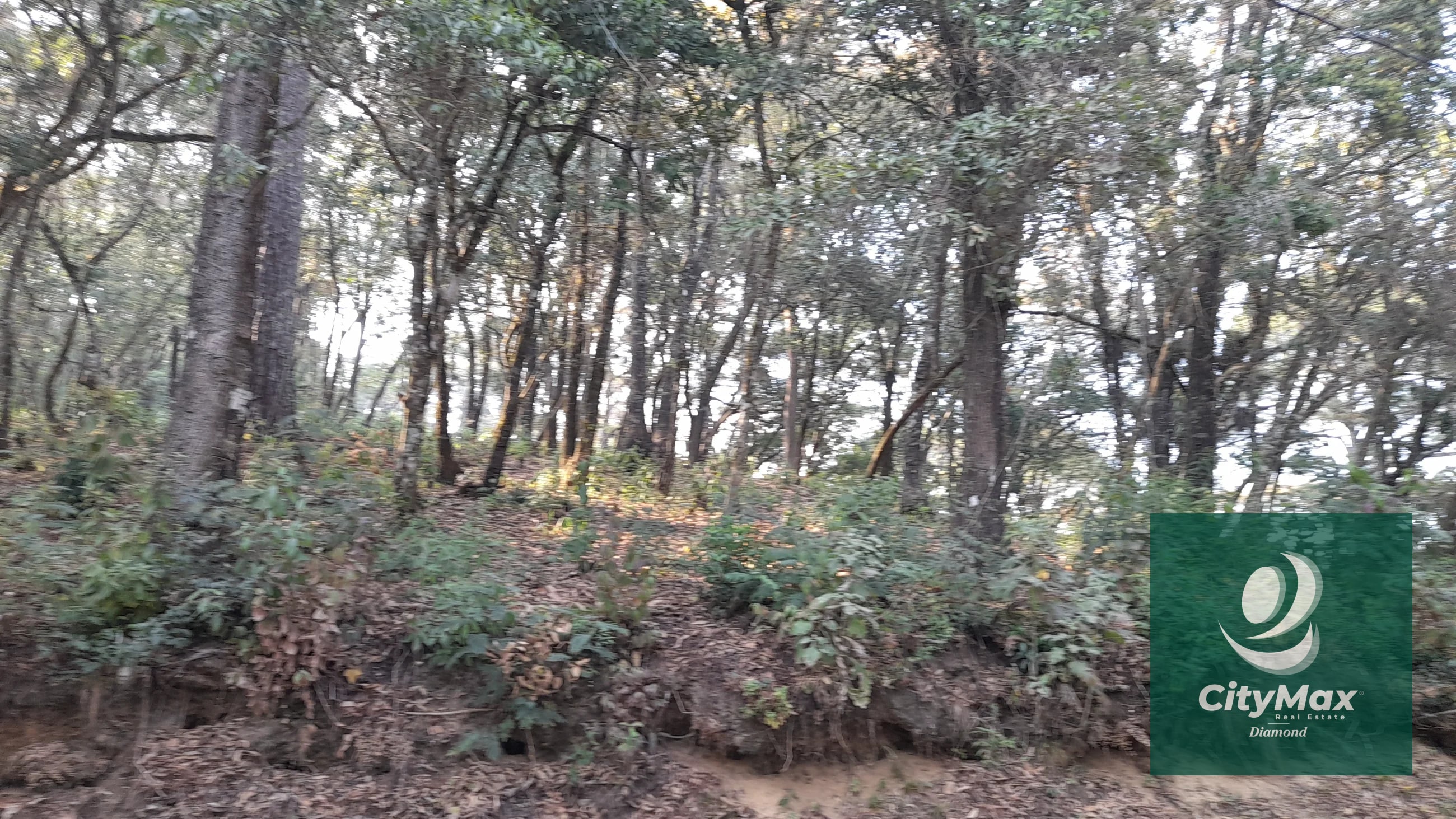 TERRENO EN VENTA EN EL ENCINAL - 13