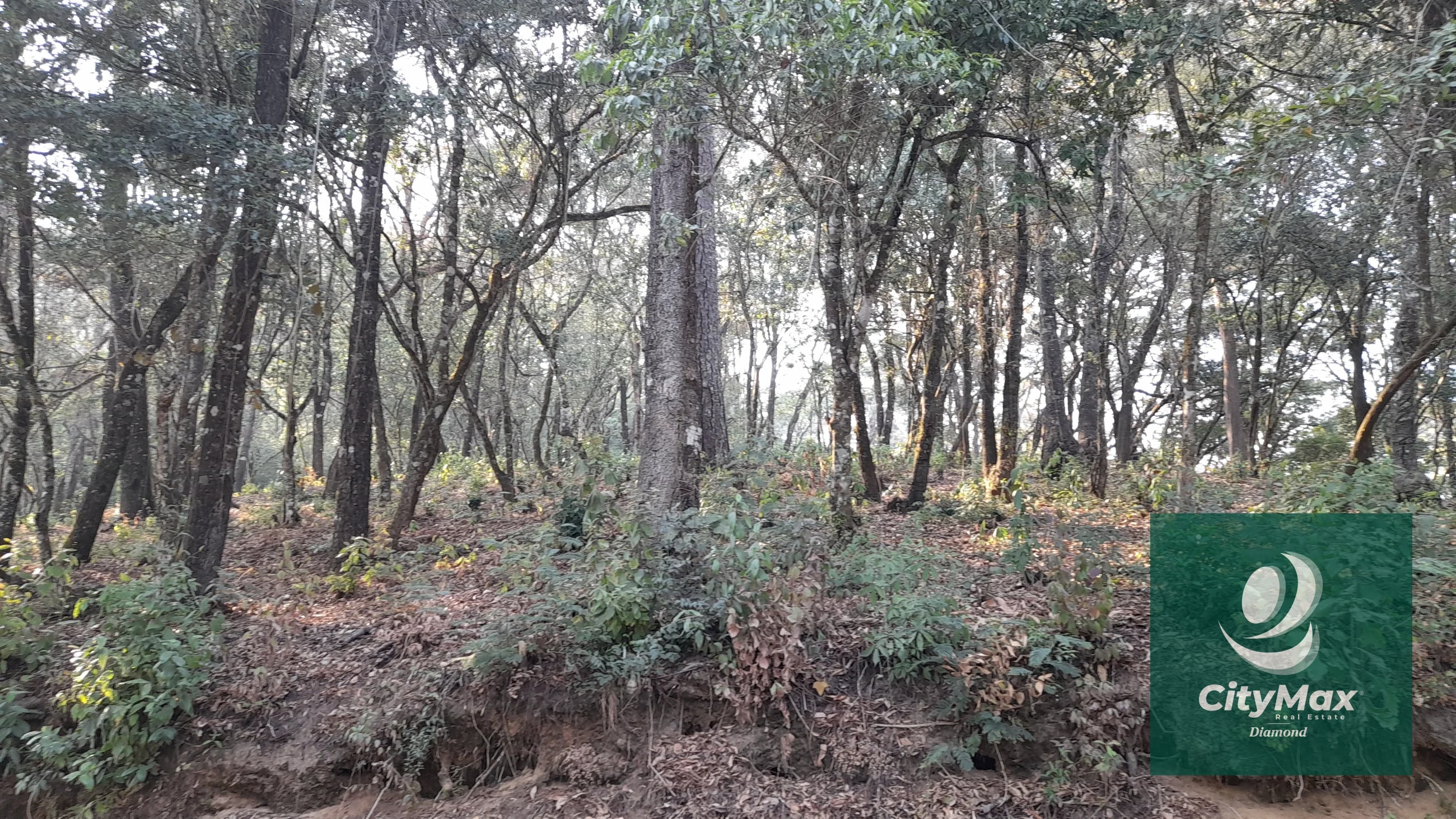 TERRENO EN VENTA EN EL ENCINAL - 12