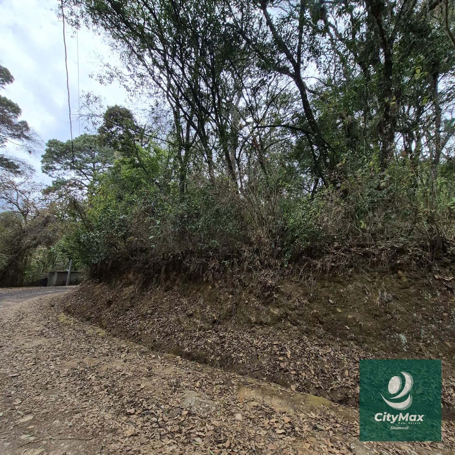 TERRENO EN VENTA EN EL ENCINAL - 1