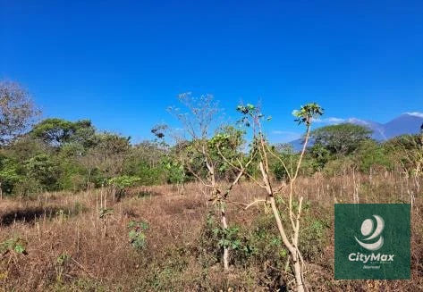 Amplio Terreno en Venta en Palín Escuintla - 5