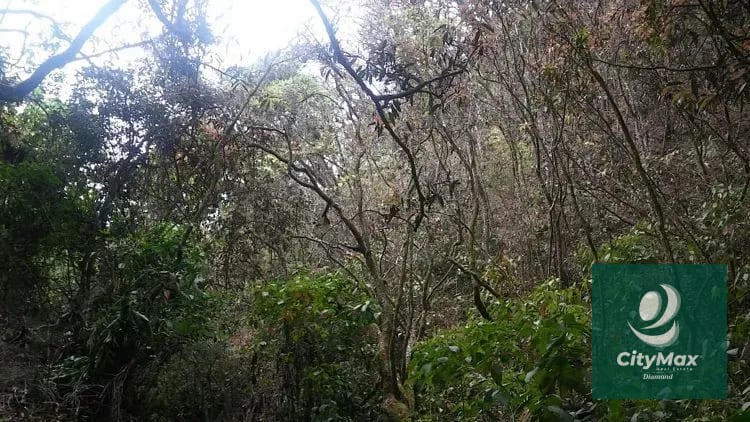 En Venta 70 Manzanas Terreno Boscoso San Pedro Ayampuc — Finca en Venta en San Pedro Ayampuc, Guatemala, Ciudad — foto 6 de 16