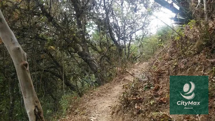 En Venta 70 Manzanas Terreno Boscoso San Pedro Ayampuc — Finca en Venta en San Pedro Ayampuc, Guatemala, Ciudad — foto 4 de 16