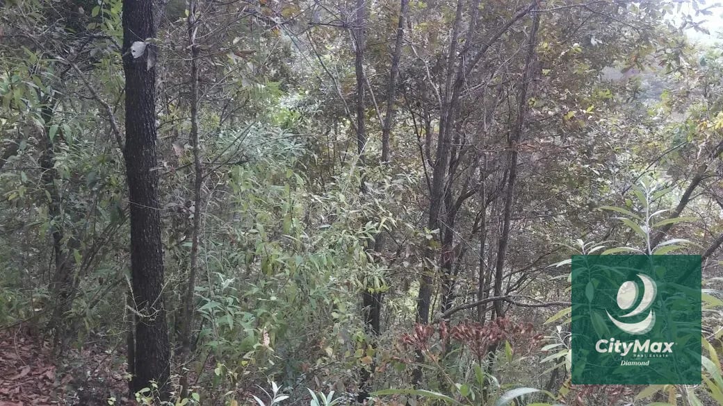 En Venta 70 Manzanas Terreno Boscoso San Pedro Ayampuc — Finca en Venta en San Pedro Ayampuc, Guatemala, Ciudad — foto 9 de 16