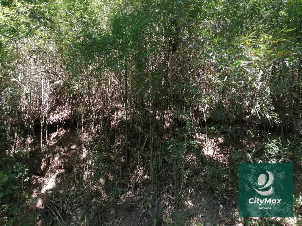 Terreno de 7 manzanas en venta en Km 26 Santa Elena Barillas - 17