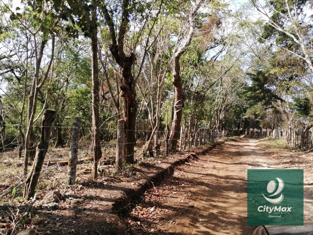Terreno de 7 manzanas en venta en Km 26 Santa Elena Barillas - 7