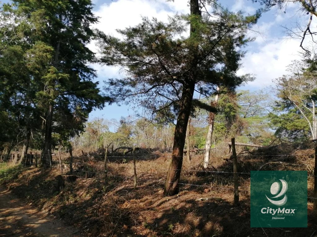 Terreno de 7 manzanas en venta en Km 26 Santa Elena Barillas - 9