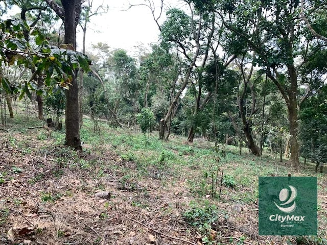 Terreno de 7 manzanas en venta en Km 26 Santa Elena Barillas - 8