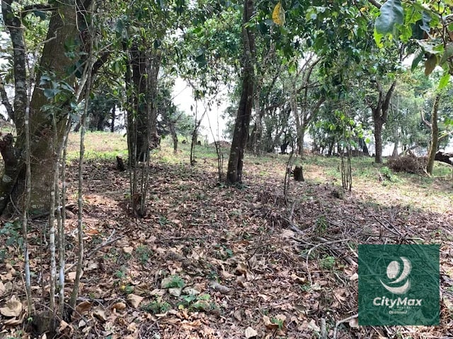 Terreno de 7 manzanas en venta en Km 26 Santa Elena Barillas - 11