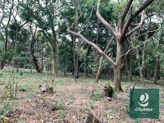 Terreno de 7 manzanas en venta en Km 26 Santa Elena Barillas - 1
