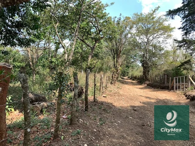 Terreno de 7 manzanas en venta en Km 26 Santa Elena Barillas - 4