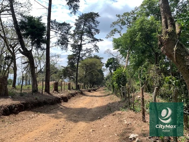 Terreno de 7 manzanas en venta en Km 26 Santa Elena Barillas - 2