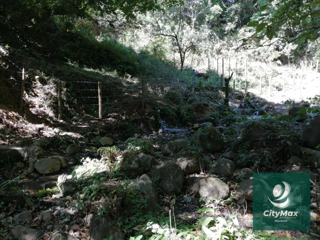 Terreno de 7 manzanas en venta en Km 26 Santa Elena Barillas - 15