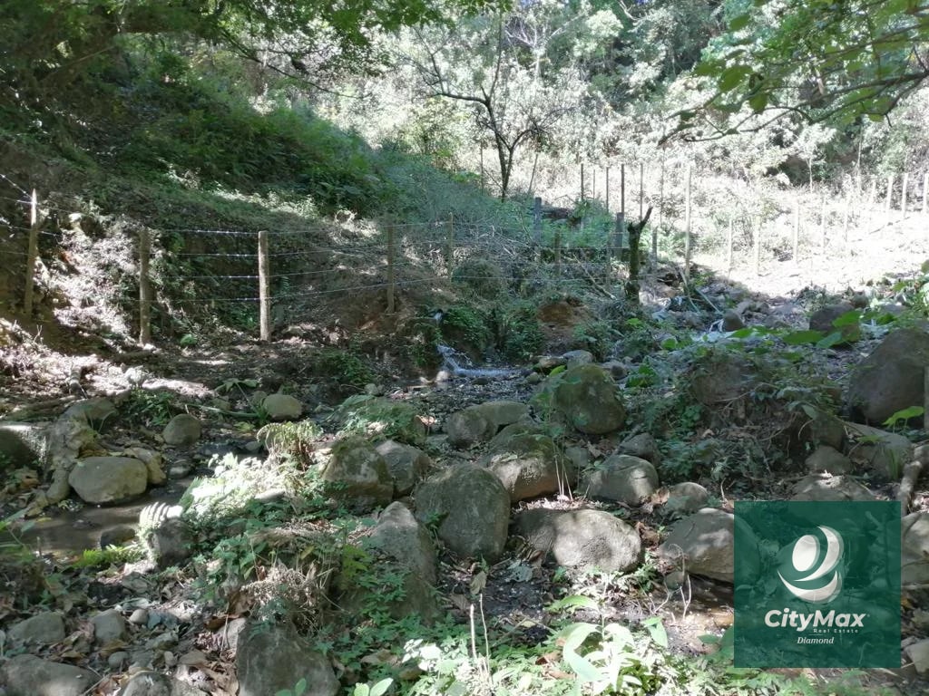 Terreno de 7 manzanas en venta en Km 26 Santa Elena Barillas - 10