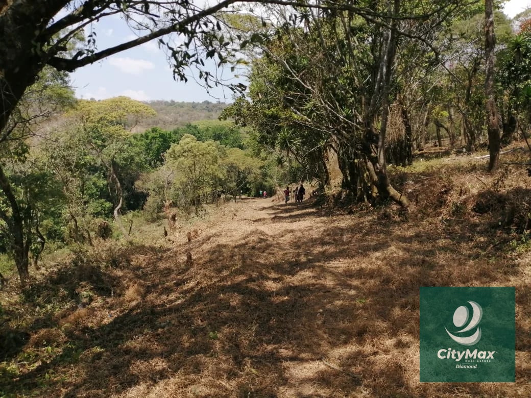 Terreno de 7 manzanas en venta en Km 26 Santa Elena Barillas - 3