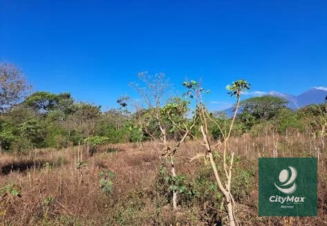 Amplio Terreno en Venta en Palín Escuintla - 5