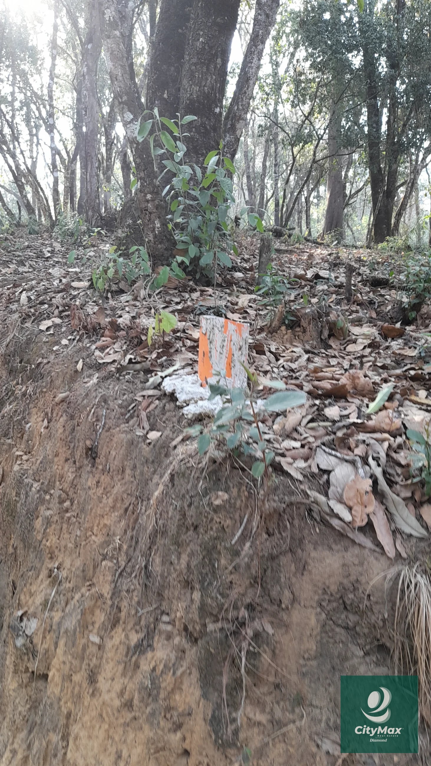 Terreno de esquina en Venta en El Encinal Zona 7 Mixco — Terreno en Venta en Zona 7 Mixco, Guatemala, Ciudad — foto 3 de 15